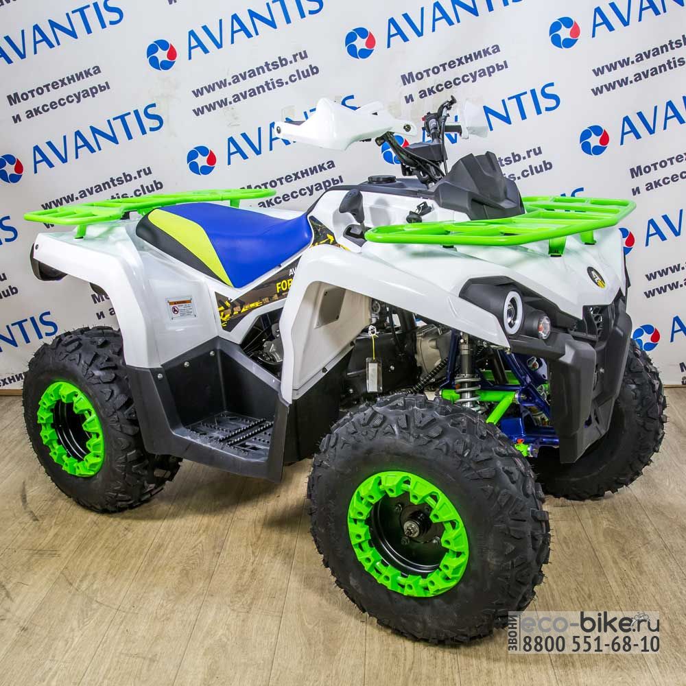 Avantis forester